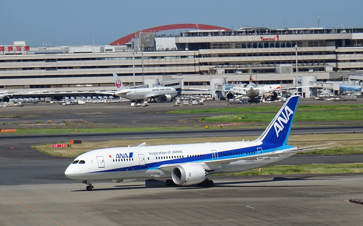 ANA Boeing 787-8 Dreamliner at Tokyo Haneda Airport