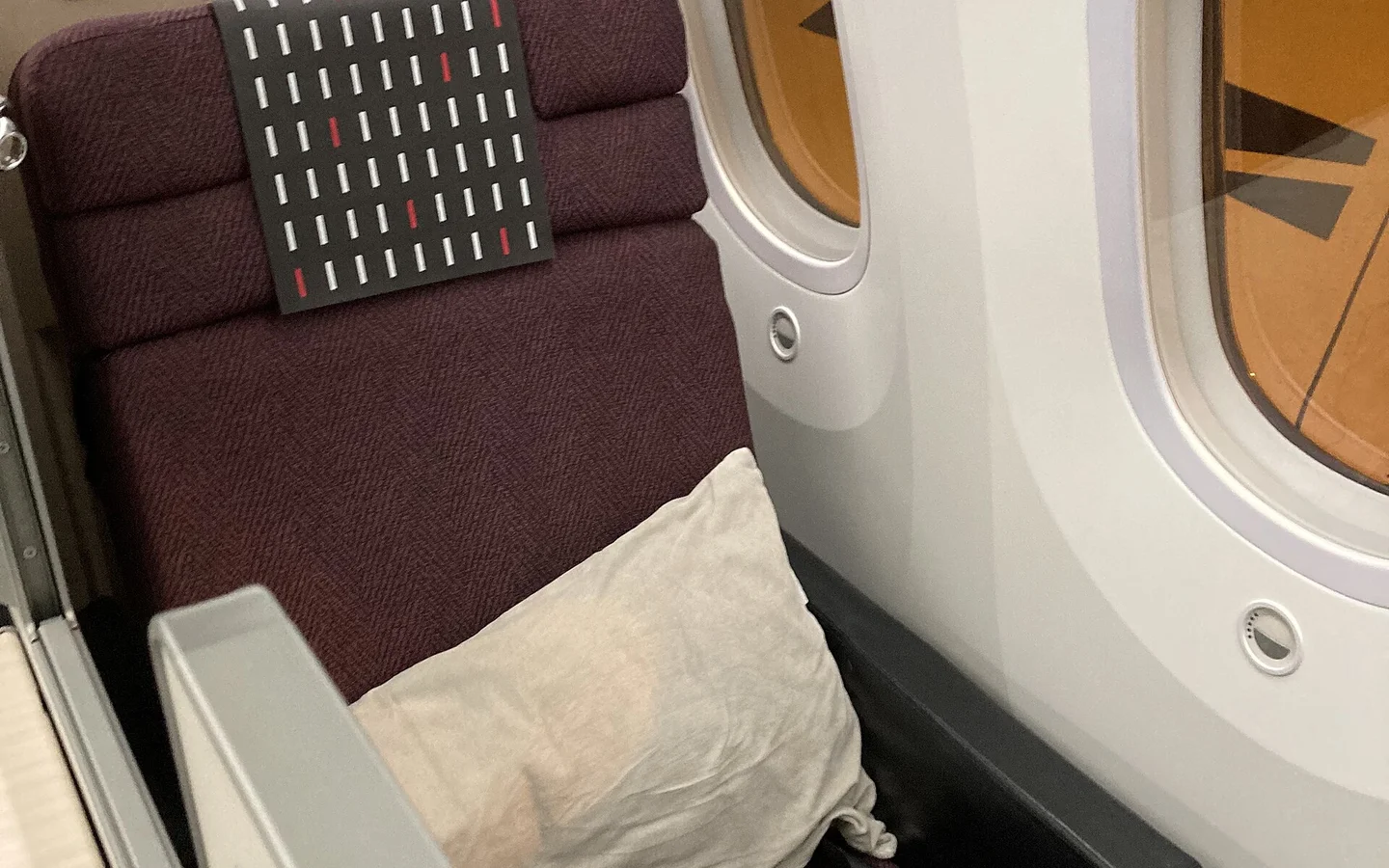 JAL Boeing 787-9 business class window seat